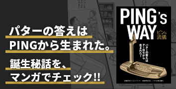 マンガで知るPING