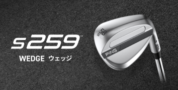クラブ PING 楽天市場】ピン PING ゴルフクラブ アイアンセット 6本組 メンズ N.S.
