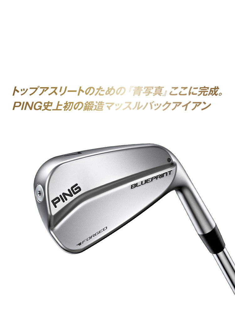 PING BLUEPRINT ブループリント　5番6番のみ