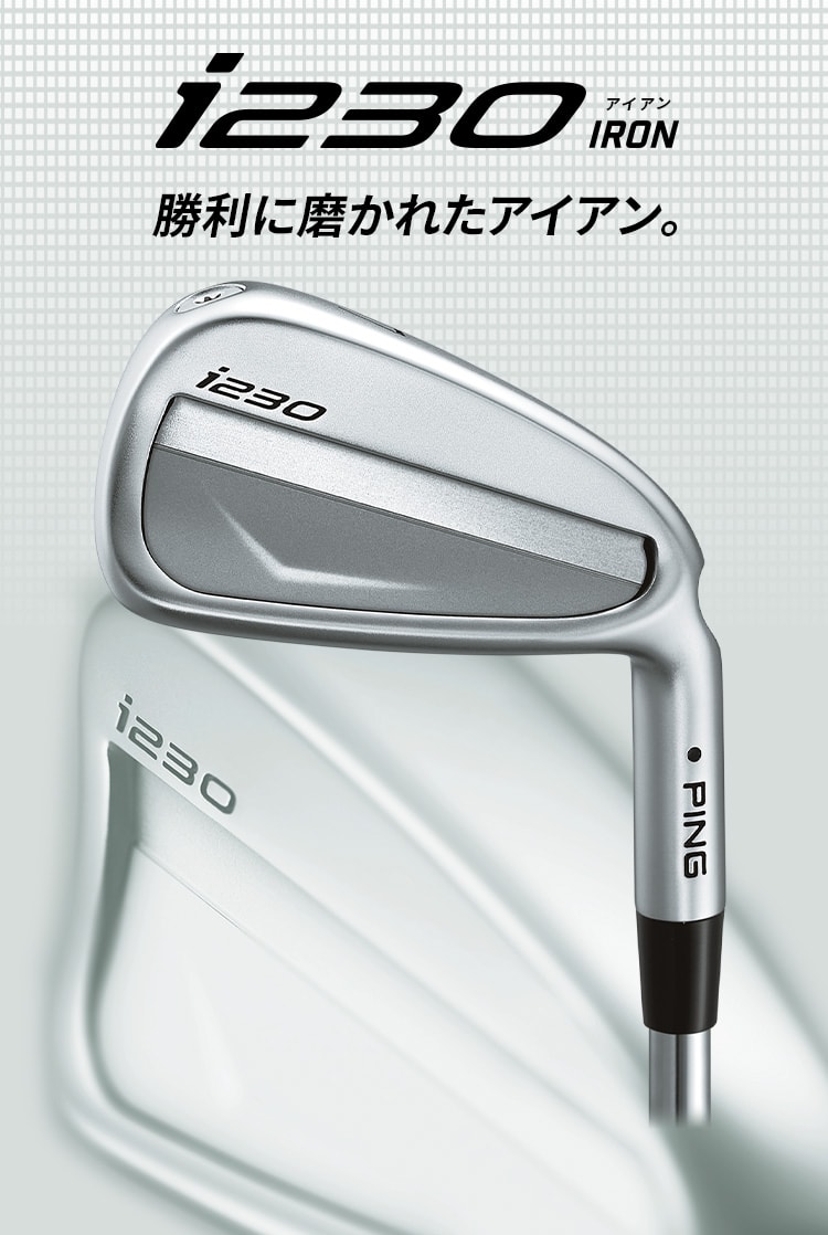 ping iアイアンセットフレックスS